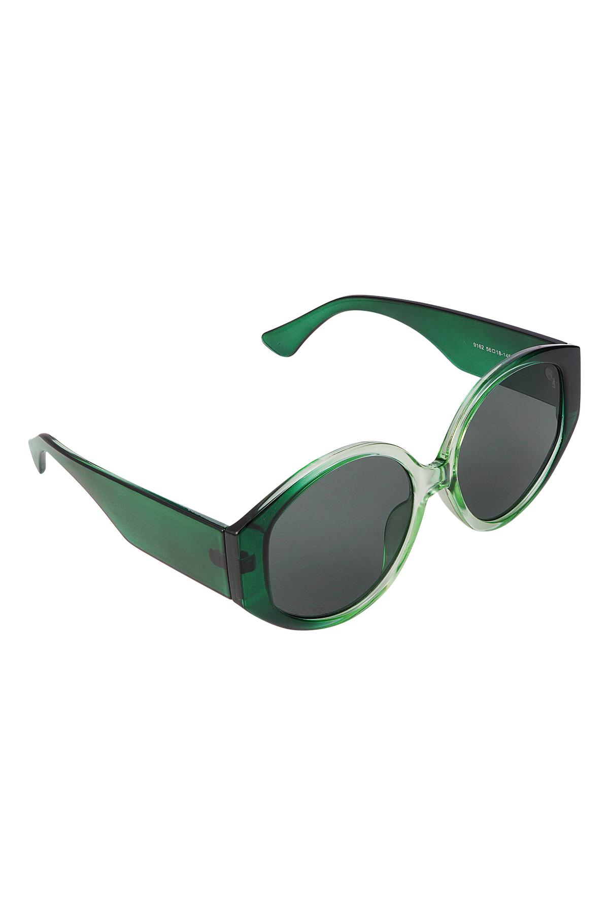 Round sunglasses Green PC One size h5 