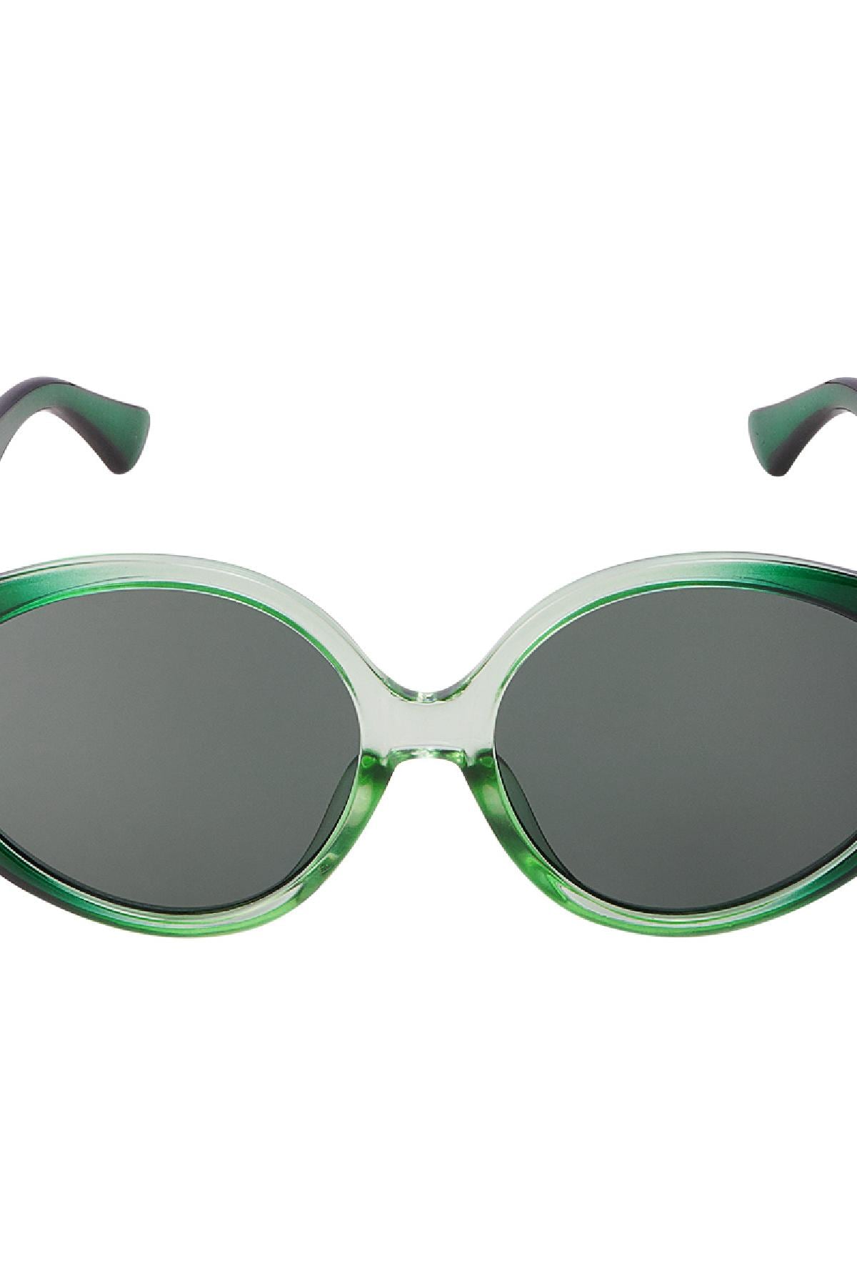 Round sunglasses Green PC One size h5 Picture3