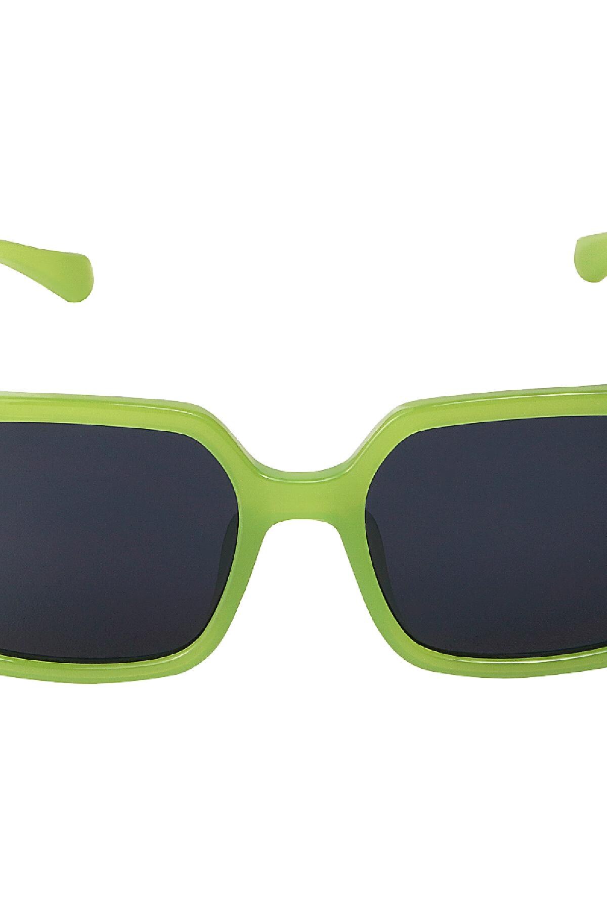 Big colourful sunglasses Green PC One size Picture3