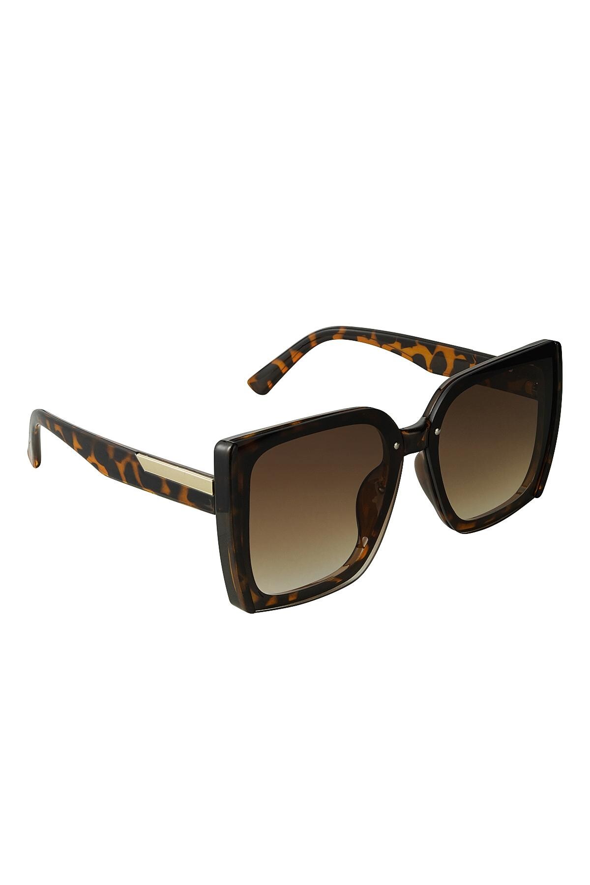 Sunglasses stylish Brown PC One size 