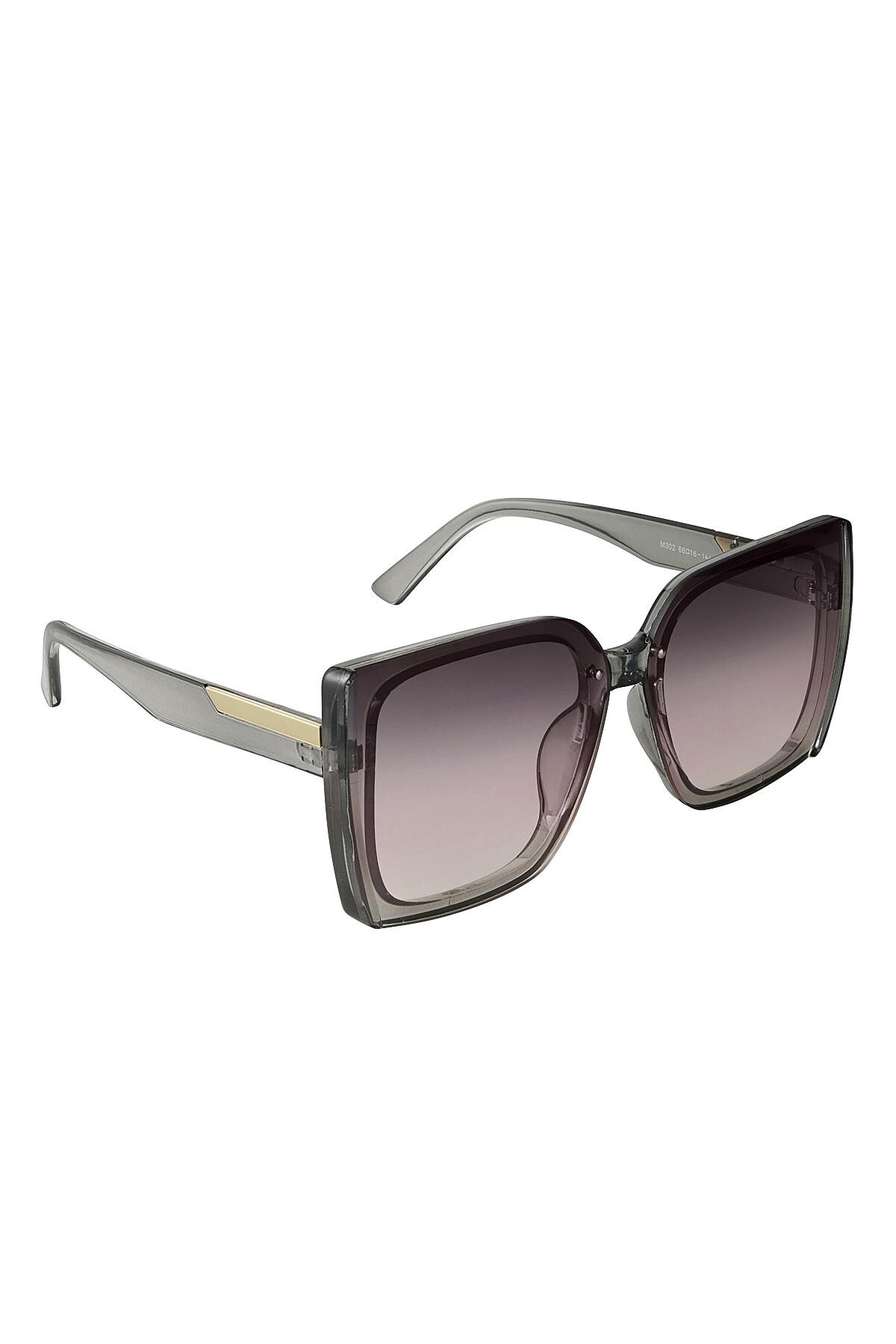 Sunglasses stylish Grey PC One size h5 