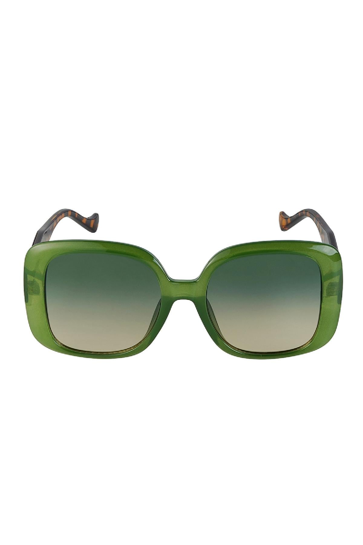 Lunettes de soleil de base Vert PC Taille unique h5 Image5