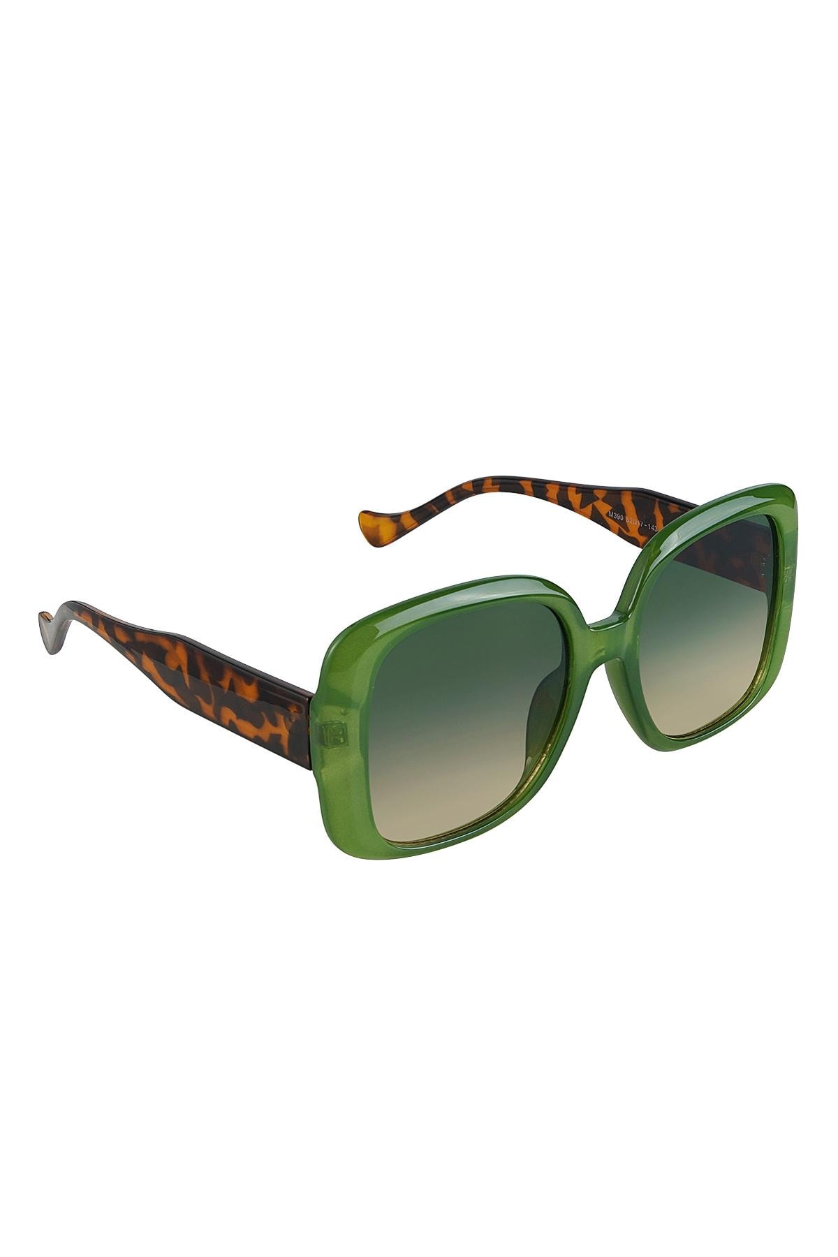 Lunettes de soleil de base Vert PC Taille unique h5 