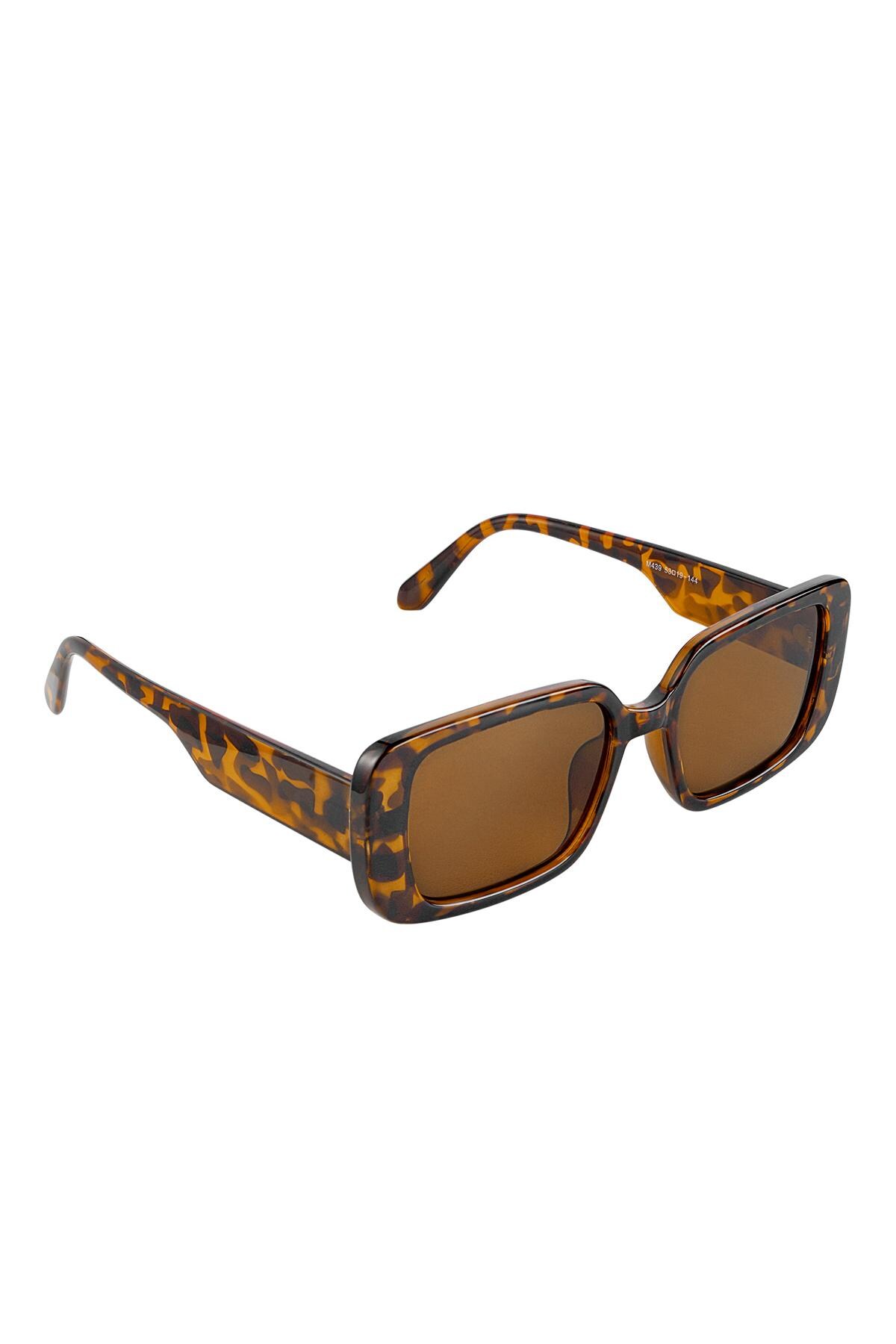 Small frame sunglasses Brown PC One size h5 