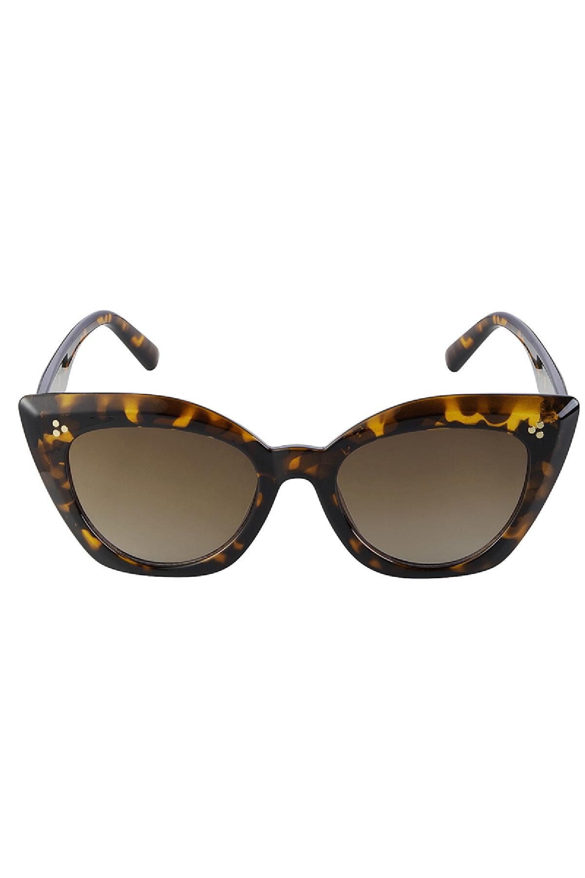 Sunglasses cat eye Brown PC One size Picture4