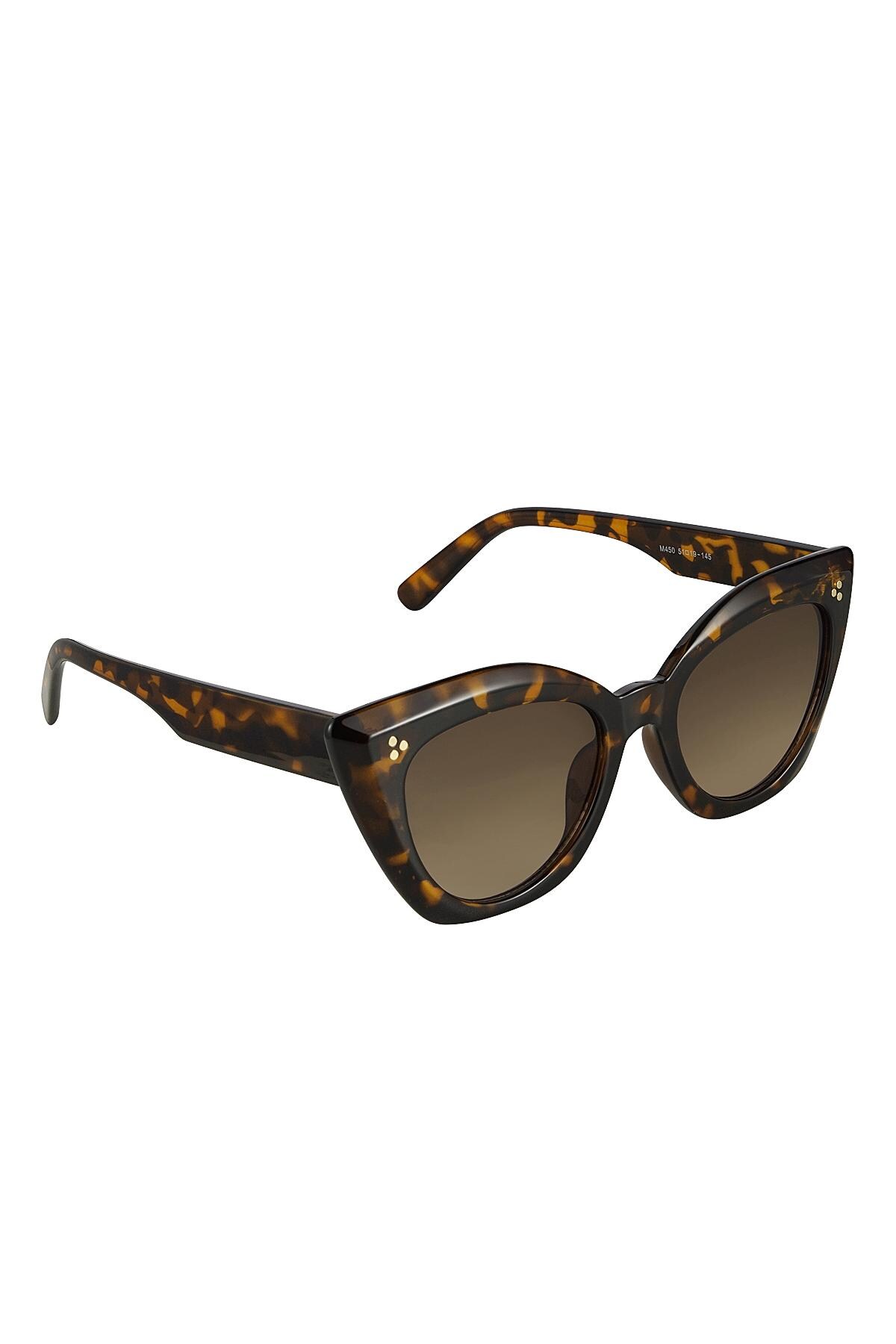 Sunglasses cat eye Brown PC One size 