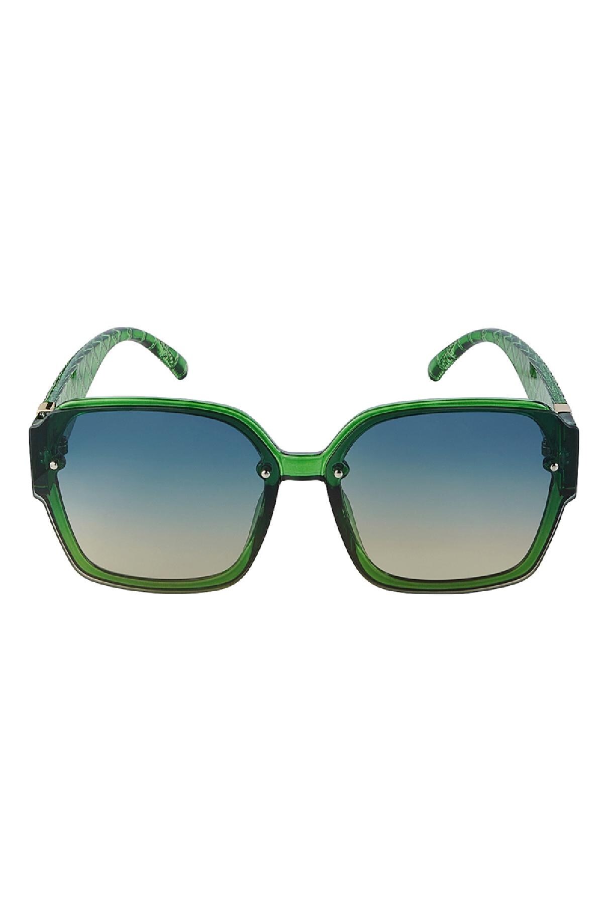 Structured sunglasses Green PC One size h5 Picture3