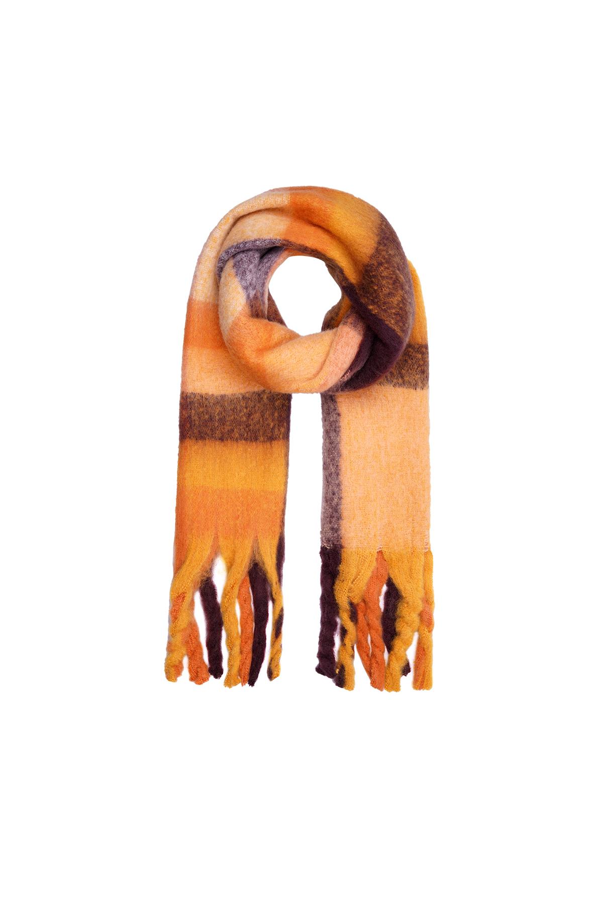 Orange / Fringe scarf Orange Polyester Picture2