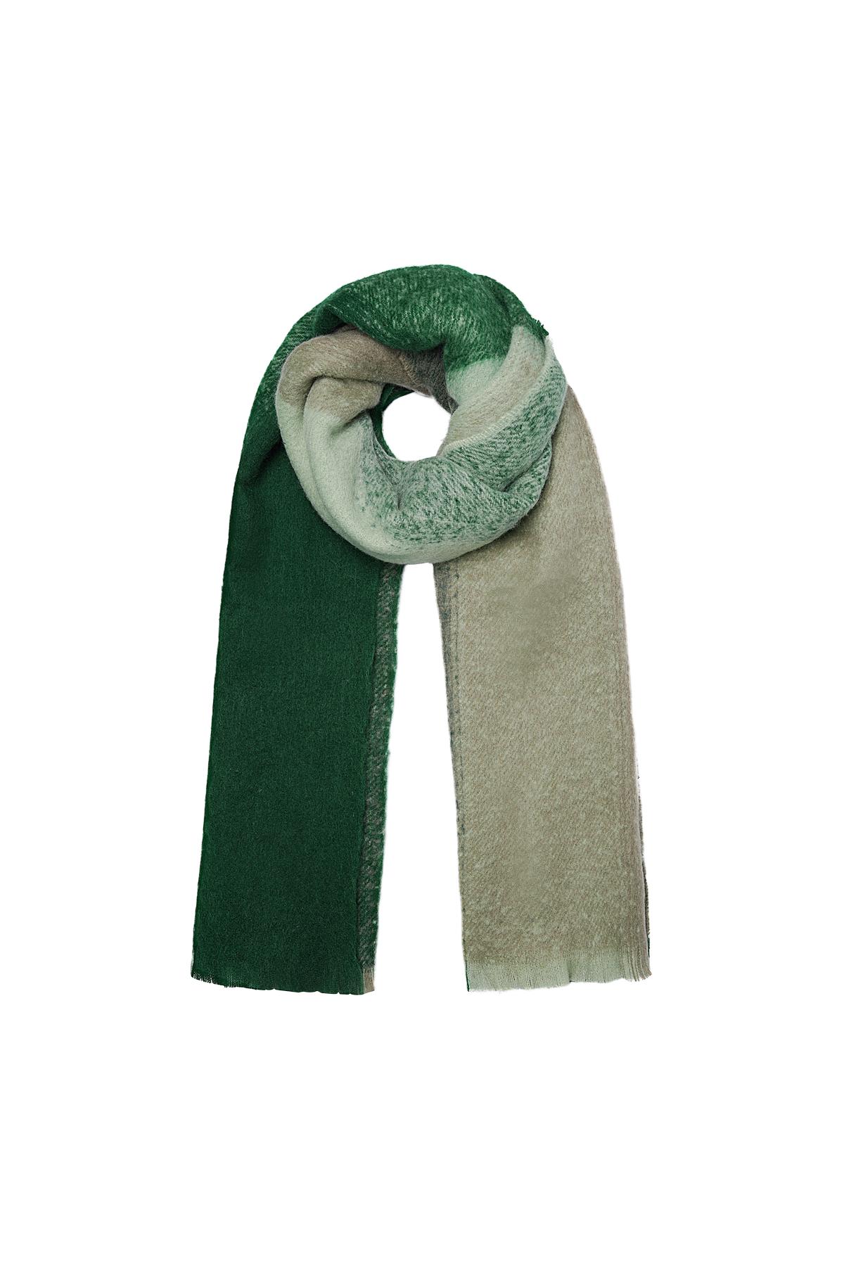 Scarf gradient green Polyester 