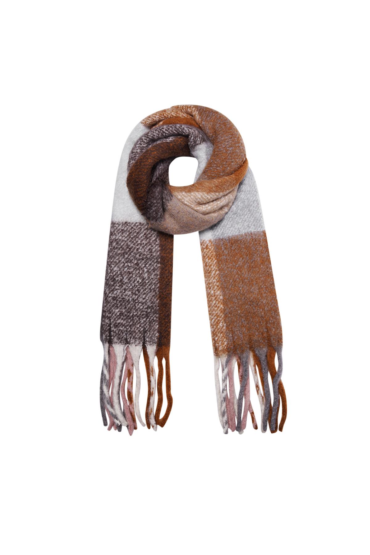 Multicolor winter scarf with fringes Brown Acrylic 