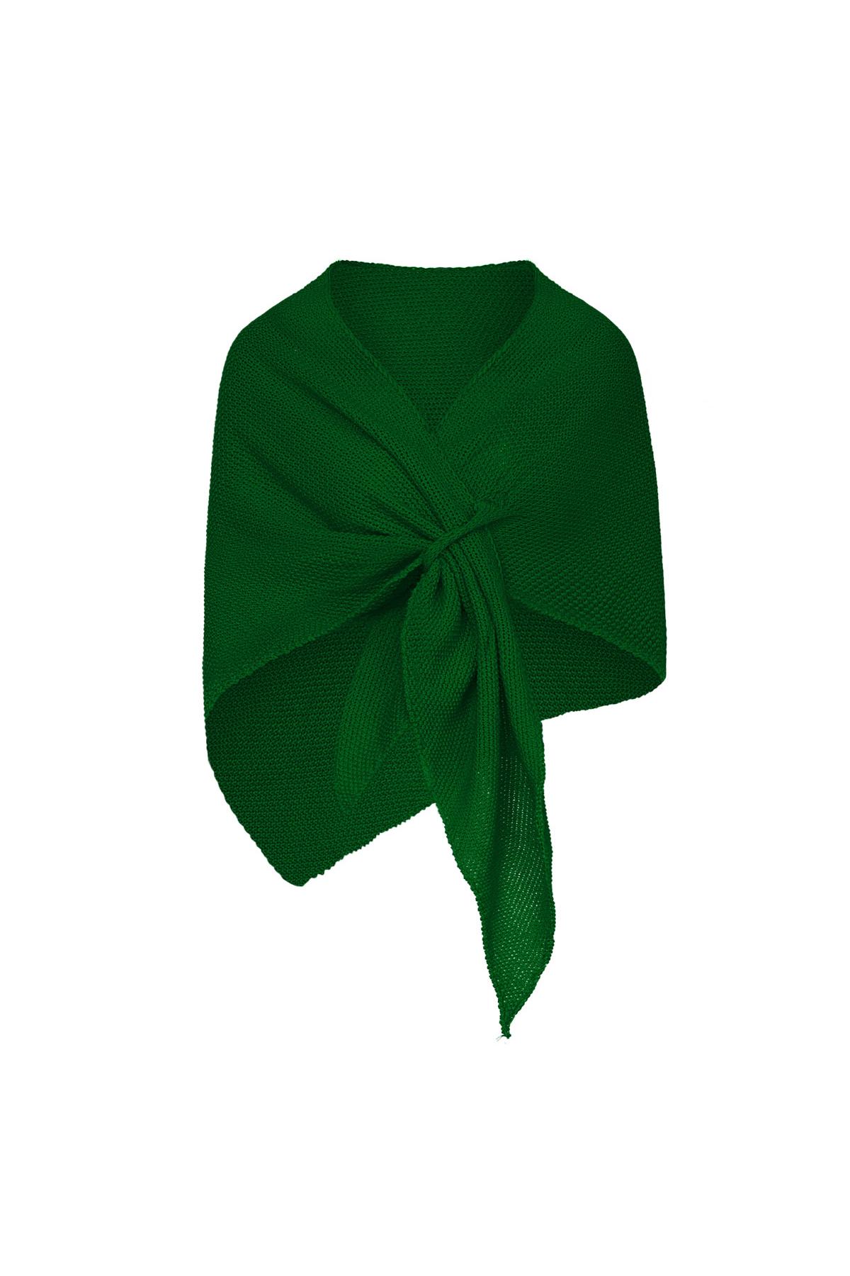 Shawl plain print Green Acrylic h5 